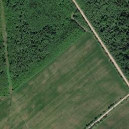 Batetskiy Rayon map(satellite map)