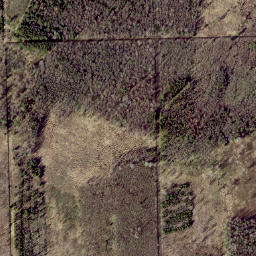 Peipsiääre vald map(satellite map)