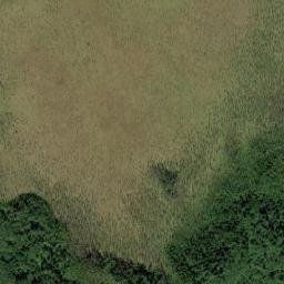Borovichskiy Rayon map(satellite map)