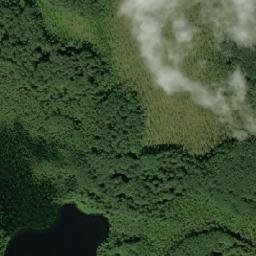 Moshenskoy Rayon map(satellite map)