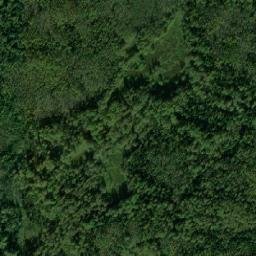 Shar’inskiy Rayon map(satellite map)