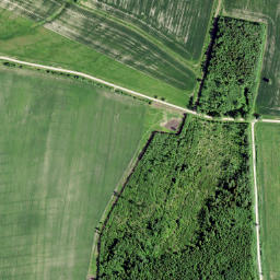 Tori vald map(satellite map)