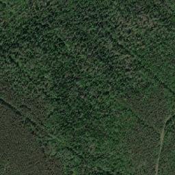 Razdolinsk map(satellite map)