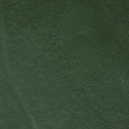 Lena Beach Alaska High Resolution Satellite Map