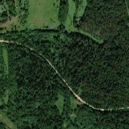 Chistyye Bory map(satellite map)