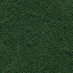 Lyubimskiy Rayon map(satellite map)
