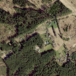 Kurepalu map(satellite map)