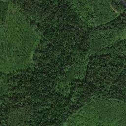 Lesnoy Rayon map(satellite map)
