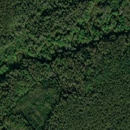 Manturovskiy Rayon map(satellite map)