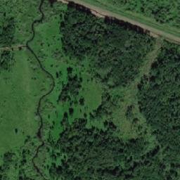Starorusskiy Rayon map(satellite map)