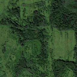 Nekouzskiy Rayon map(satellite map)