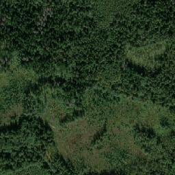 Bologovskiy Rayon map(satellite map)