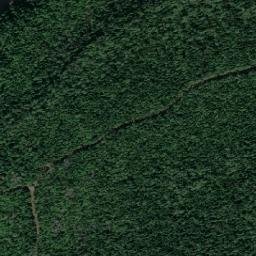 Alekseyevskaya map(satellite map)