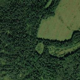 Myshkinskiy Rayon map(satellite map)