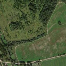 Kostromskoy Rayon map(satellite map)