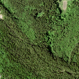 Ruhnu map(satellite map)