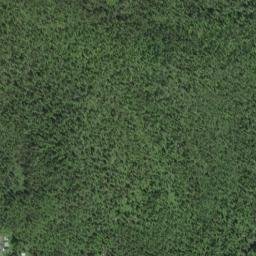 Tenakee Springs Alaska High Resolution Satellite Map