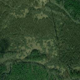 Vetluzhskiy Rayon map(satellite map)