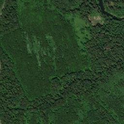 Ostrovskiy Rayon map(satellite map)