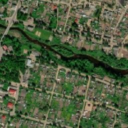 Demyansk map(satellite map)