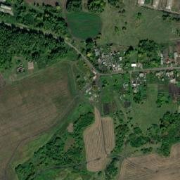 Lesnoy map(satellite map)