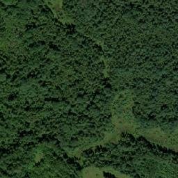 Demyanskiy Rayon map(satellite map)