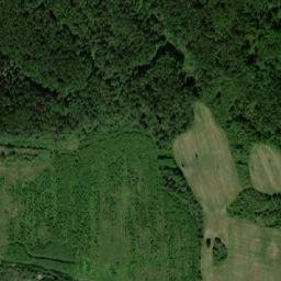 Kesovogorskiy Rayon map(satellite map)