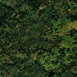 Kedrovyy map(satellite map)
