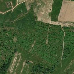 Palkinskiy Rayon map(satellite map)