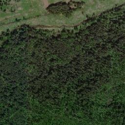Nemskiy Rayon map(satellite map)