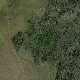 Poddorskiy Rayon map(satellite map)