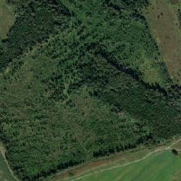 Borisoglebskiy Rayon map(satellite map)