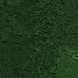 Kineshemskiy Rayon map(satellite map)