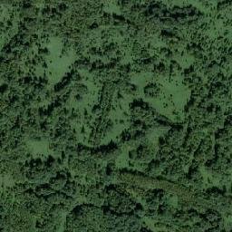 Birilyusskiy Rayon map(satellite map)