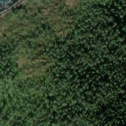Satellite imagery of Kalvvikneset, NO