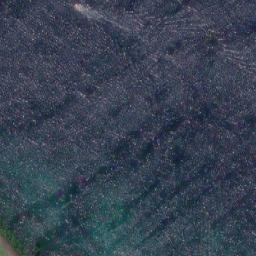 Satellite imagery of Sildpollneset, NO