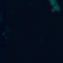 Satellite imagery of Talgskjeran, NO