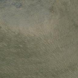 Satellite imagery of Benjamin Mountain, CA