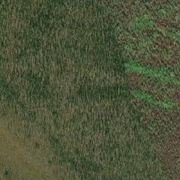 Satellite imagery of Terrace Ridge, CA