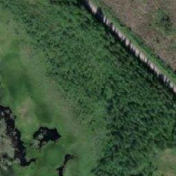 Satellite imagery of survey_point, SE