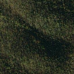 Satellite imagery of Mount Dewdney, CA
