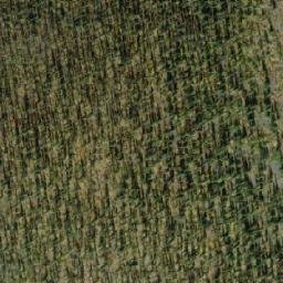 Satellite imagery of Mount Dewdney, CA