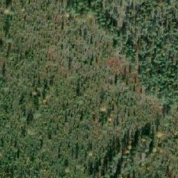Satellite imagery of survey_point, SE