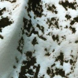 Satellite imagery of Mount Osborn, CA