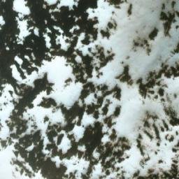 Satellite imagery of Mount Osborn, CA