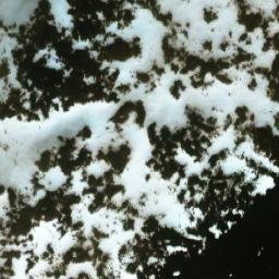 Satellite imagery of Mount Osborn, CA