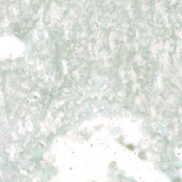 Satellite imagery of Pikkuletto, FI