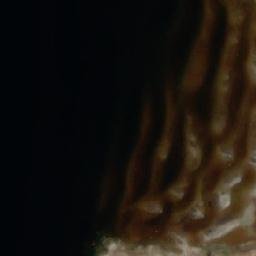 Satellite imagery of Mustakari, FI
