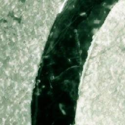 Satellite imagery of Kaasamatala, FI