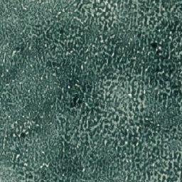 Satellite imagery of Karinkannanniemi, FI